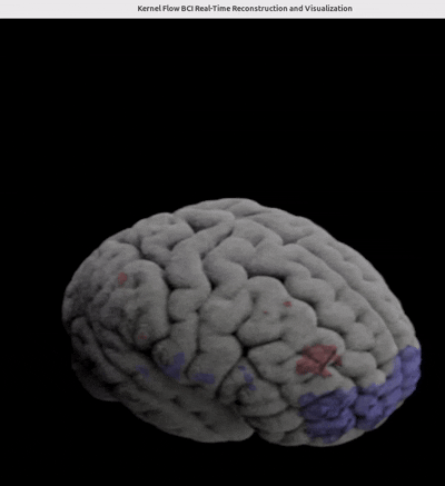 Kernel Flow BCI Real-Time Visualization
