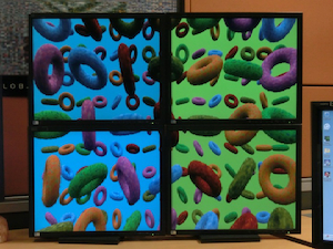 A photo of a Vulkan app displaying many colored toruses tiled on 4 displays.