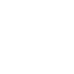 ABBVIE INC issuer logo