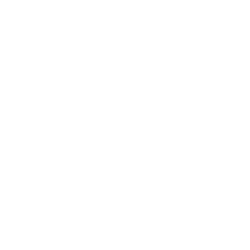 ARISTA NETWORKS INC issuer logo