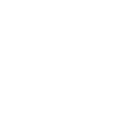 AMPHENOL CORP issuer logo