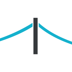 BRIDGEBIO PHARMA INC issuer logo