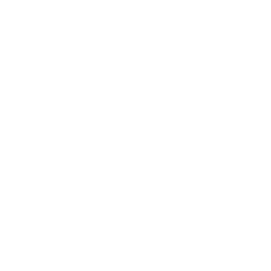 D R Horton Inc issuer logo