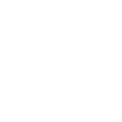 ELEVANCE HEALTH INC FORMERLY issuer logo