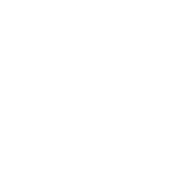 CORNING INC issuer logo