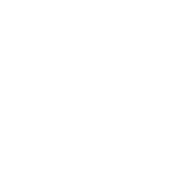 GOPRO INC issuer logo