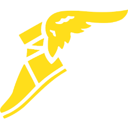 GOODYEAR TIRE &amp; RUBR CO issuer logo