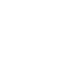 JetBlue Airways Corp. issuer logo
