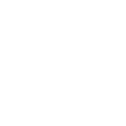 Stmicroelectronics N V issuer logo