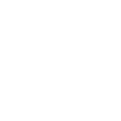 TEMPUS AI INC issuer logo