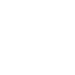 UNDER ARMOUR INC issuer logo