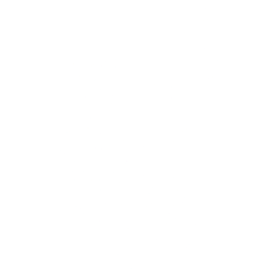 UNITEDHEALTH GROUP INC issuer logo