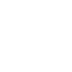 ALKS logo