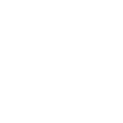 AMV logo