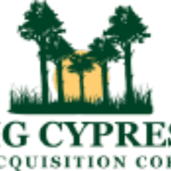 BCYP logo