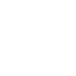 BDMD logo