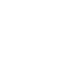 BIVI logo