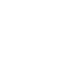 BLNK logo