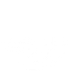 BNRG logo
