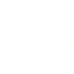 BNZI logo