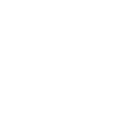 CNSP logo