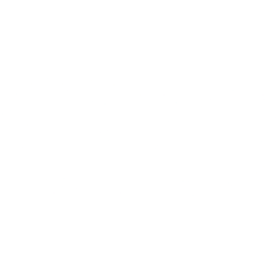 DGNX logo