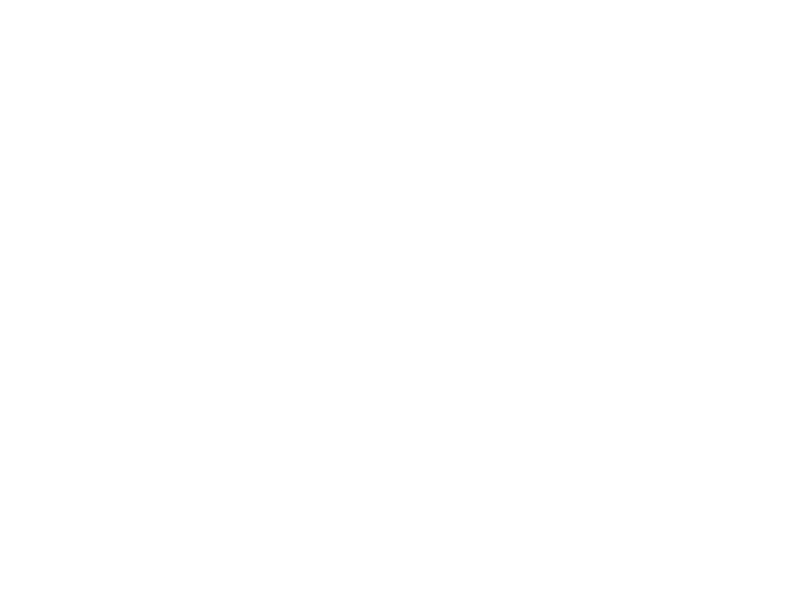 DSY logo