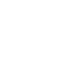 FAST logo