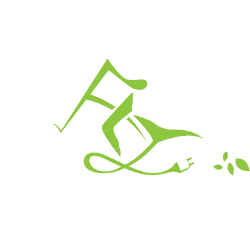 FLYE logo