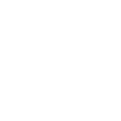 IINN logo