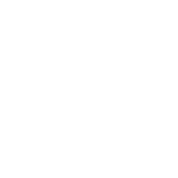 INBS logo