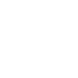 INGN logo