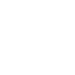 LNW logo