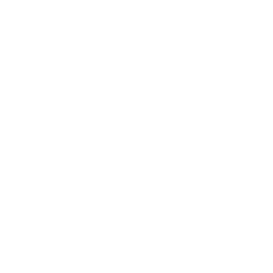NIVF logo