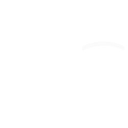 NVNI logo