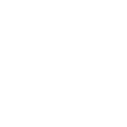 NVO logo