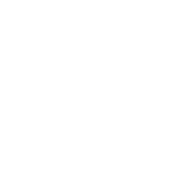 PSIG logo