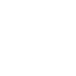 QRVO logo