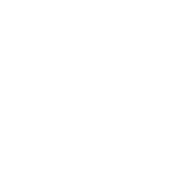 RVLP logo