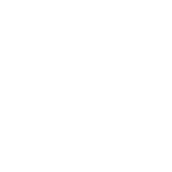 SAI logo