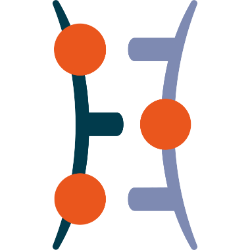 SLN logo