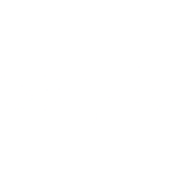 SLXN logo