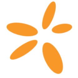 SNN logo