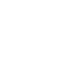 VSCO logo