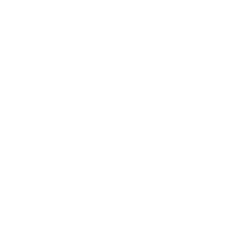WVE logo