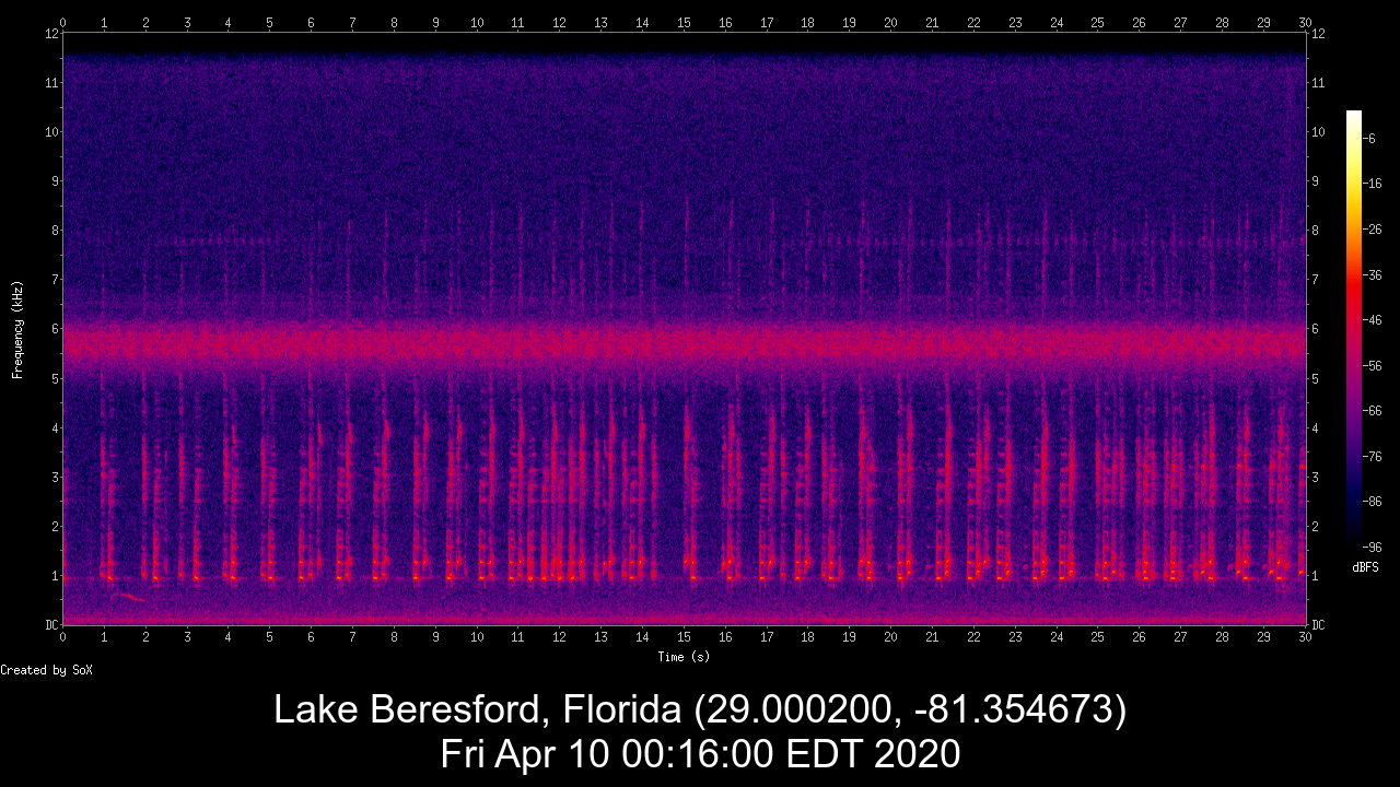 sample output from make spectrogram movie script