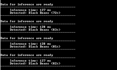 Inferencing: TeraTerm Terminal