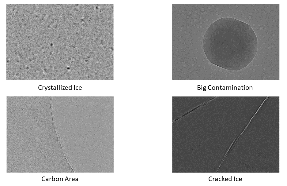 cryocheck_examples