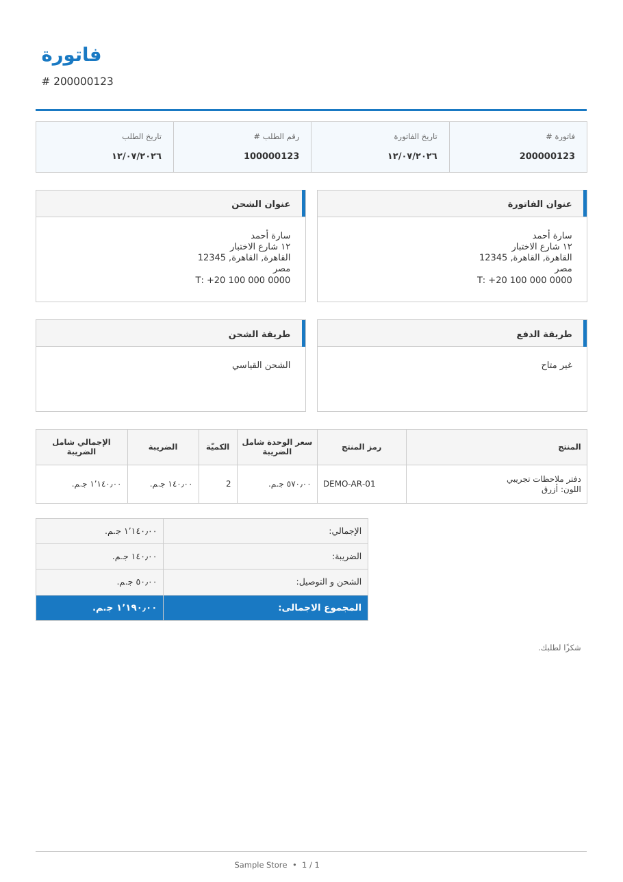 Sanitized Arabic invoice preview using fictional sample data