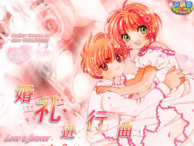 The Wedding Song cover art